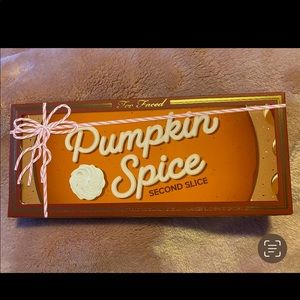 COPY - NWT- Pumpkin Spice Eyeshadow Palette Too Faced